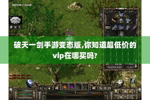 破天一剑手游变态版,你知道超低价的vip在哪买吗?
