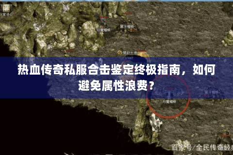 热血传奇私服合击鉴定终极指南，如何避免属性浪费？
