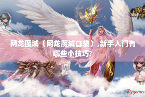 网龙魔域（网龙魔域口袋）,新手入门有哪些小技巧?