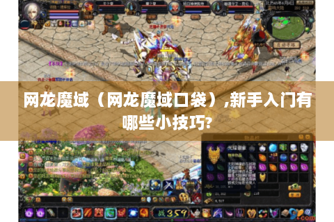 网龙魔域（网龙魔域口袋）,新手入门有哪些小技巧?