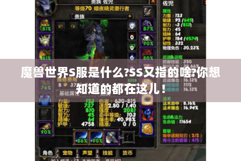 魔兽世界S服是什么?SS又指的啥?你想知道的都在这儿！