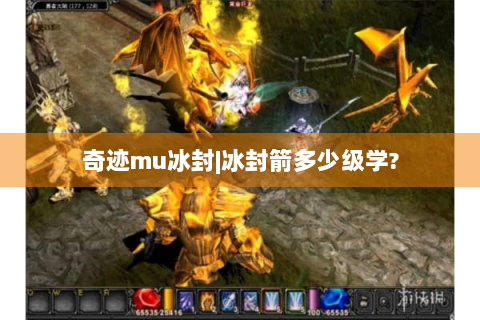 奇迹mu冰封|冰封箭多少级学?