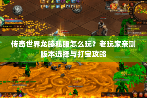 传奇世界龙腾私服怎么玩？老玩家亲测版本选择与打宝攻略