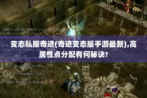 变态私服奇迹(奇迹变态版手游最新),高属性点分配有何秘诀?
