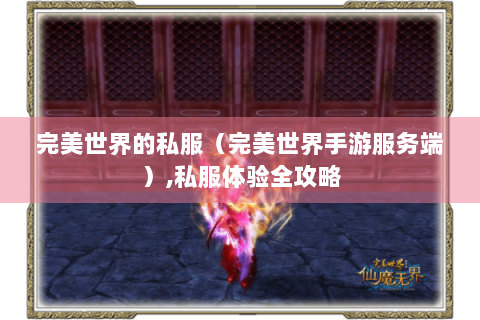 完美世界的私服（完美世界手游服务端）,私服体验全攻略