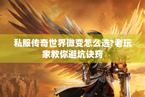 私服传奇世界微变怎么选?老玩家教你避坑诀窍
