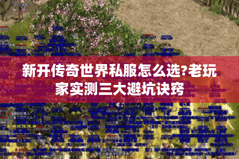 新开传奇世界私服怎么选?老玩家实测三大避坑诀窍