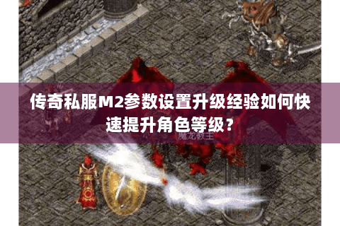 传奇私服M2参数设置升级经验如何快速提升角色等级？