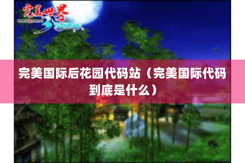 完美国际后花园代码站（完美国际代码到底是什么）