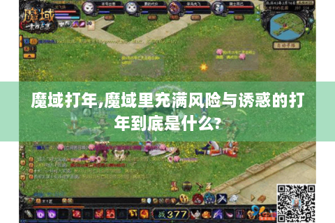 魔域打年,魔域里充满风险与诱惑的打年到底是什么?