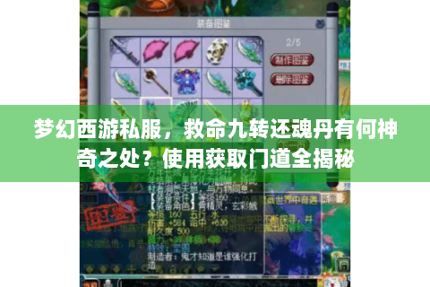 梦幻西游私服，救命九转还魂丹有何神奇之处？使用获取门道全揭秘