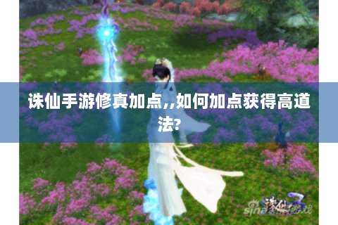 诛仙手游修真加点,,如何加点获得高道法?
