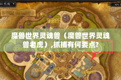 魔兽世界灵魂兽（魔兽世界灵魂兽老虎）,抓捕有何要点?