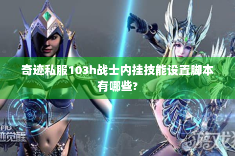 奇迹私服103h战士内挂技能设置脚本有哪些?