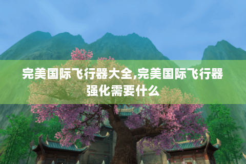 完美国际飞行器大全,完美国际飞行器强化需要什么