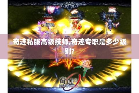 奇迹私服高级技师,奇迹专职是多少级别?