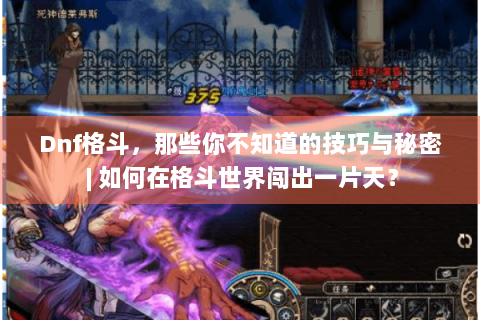 Dnf格斗，那些你不知道的技巧与秘密 | 如何在格斗世界闯出一片天？