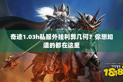 奇迹1.03h私服外挂利弊几何？你想知道的都在这里