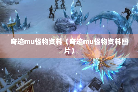 奇迹mu怪物资料（奇迹mu怪物资料图片）