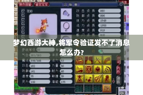 梦幻西游大神,将军令验证发不了消息怎么办?