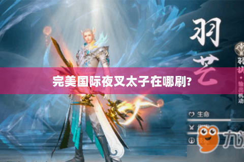 完美国际夜叉太子在哪刷?