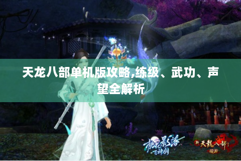 天龙八部单机版攻略,练级、武功、声望全解析