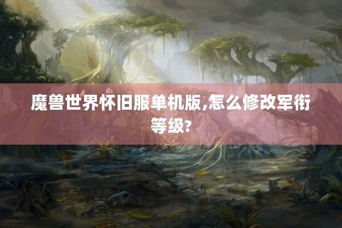 魔兽世界怀旧服单机版,怎么修改军衔等级?
