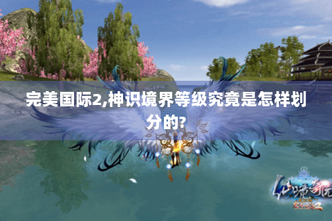 完美国际2,神识境界等级究竟是怎样划分的?
