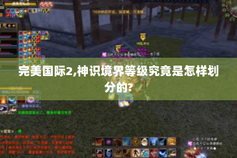完美国际2,神识境界等级究竟是怎样划分的?