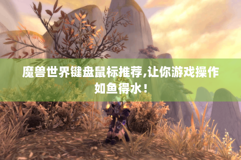 魔兽世界键盘鼠标推荐,让你游戏操作如鱼得水！