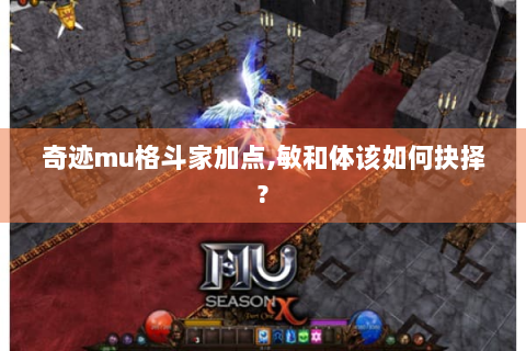 奇迹mu格斗家加点,敏和体该如何抉择?