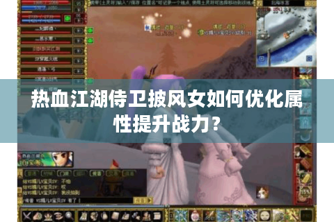 热血江湖侍卫披风女如何优化属性提升战力？