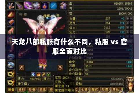 天龙八部私服有什么不同，私服 vs 官服全面对比