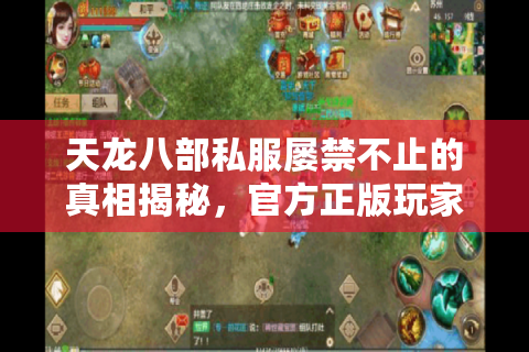 天龙八部私服屡禁不止的真相揭秘，官方正版玩家该如何选择？