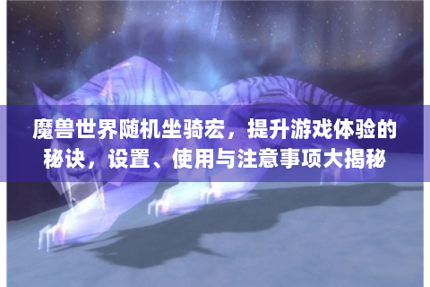 魔兽世界随机坐骑宏，提升游戏体验的秘诀，设置、使用与注意事项大揭秘