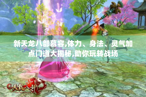 新天龙八部慕容,体力、身法、灵气加点门道大揭秘,助你玩转战场