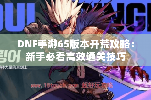 DNF手游65版本开荒攻略：新手必看高效通关技巧