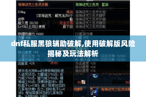 dnf私服黑狼辅助破解,使用破解版风险揭秘及玩法解析