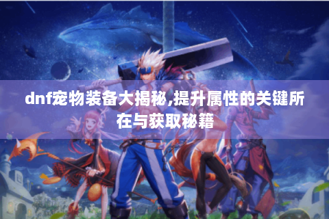 dnf宠物装备大揭秘,提升属性的关键所在与获取秘籍