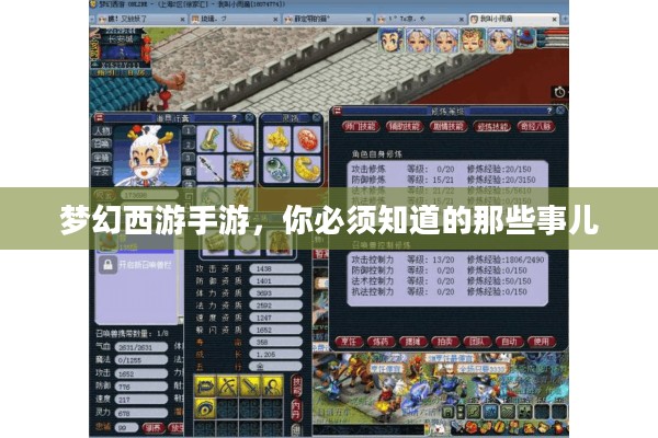 梦幻西游手游，你必须知道的那些事儿