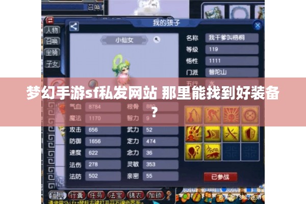 梦幻手游sf私发网站 那里能找到好装备？
