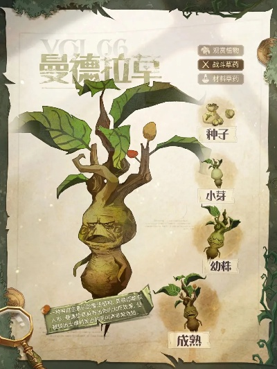 《幻想生活i》独门秘籍：轻松获取巨大曼德拉草攻略