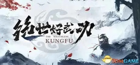 《绝世好武功》速通秘籍：高效攻略全解析