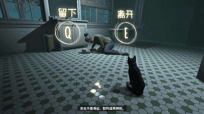 《冒牌猫谜》全流程解说：揭秘隐藏剧情，攻略全解析！