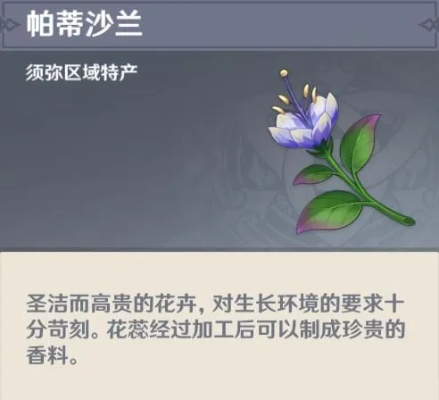 《原神》帕蒂沙兰采集攻略：快速升级必备路线！