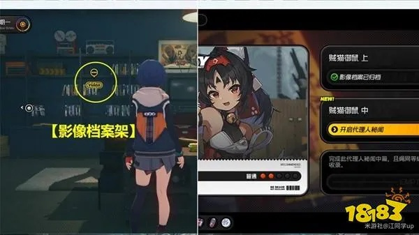 《绝区零》御猫出巡攻略：轻松解锁隐藏剧情