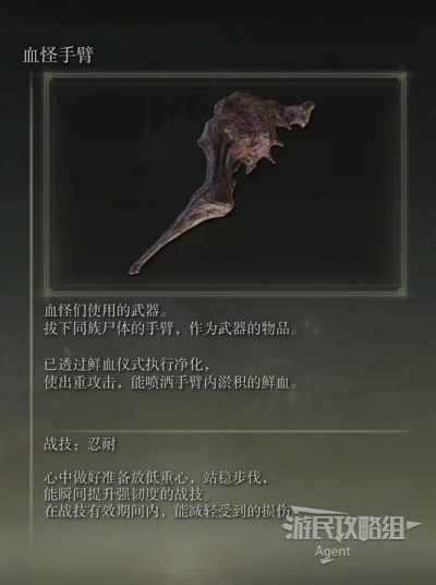 《艾尔登法环》黄金树幽影DLC武器盘点：独家收集秘籍大公开
