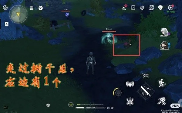 《鸣潮》高效灯笼果采集攻略：快速升级必备路线