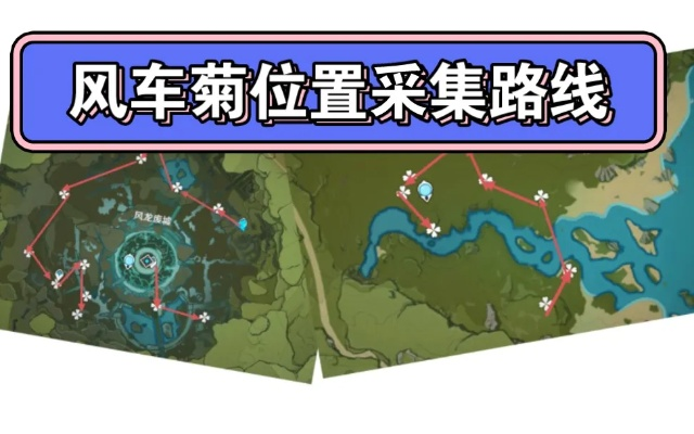 《原神》4.6版本风车菊攻略：高效采集与购买指南