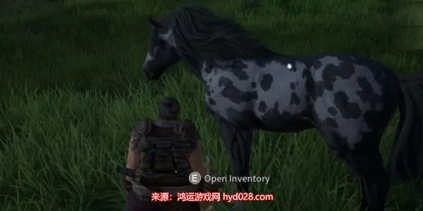 《帝国神话》马匹培育攻略：高效繁殖技巧揭秘